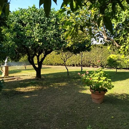 Da Ninnilla Holiday Home Scafati Bagian luar foto