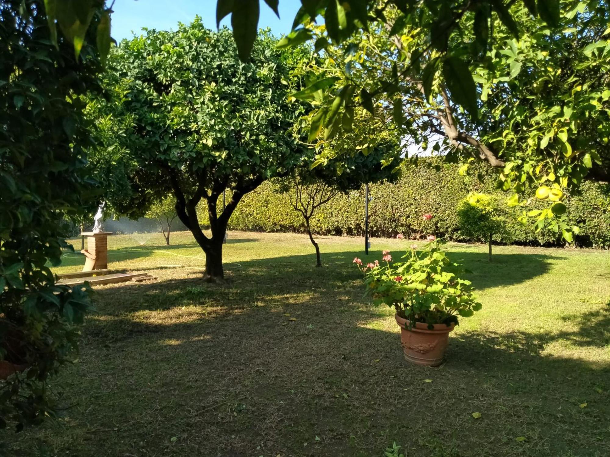 Da Ninnilla Holiday Home Scafati Bagian luar foto